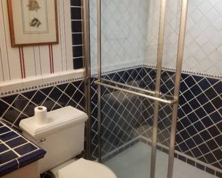 Toilet; glass shower doors