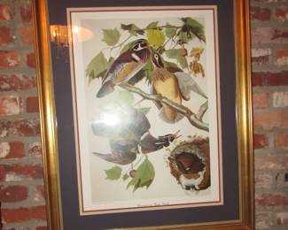 Audubon