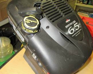 New lawn mower motor