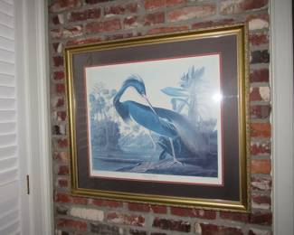 Audubon