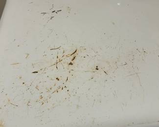 #200 Whirlpool cabrio platinum electric dryer plugged in and running (as-is scratches on top) $150.00