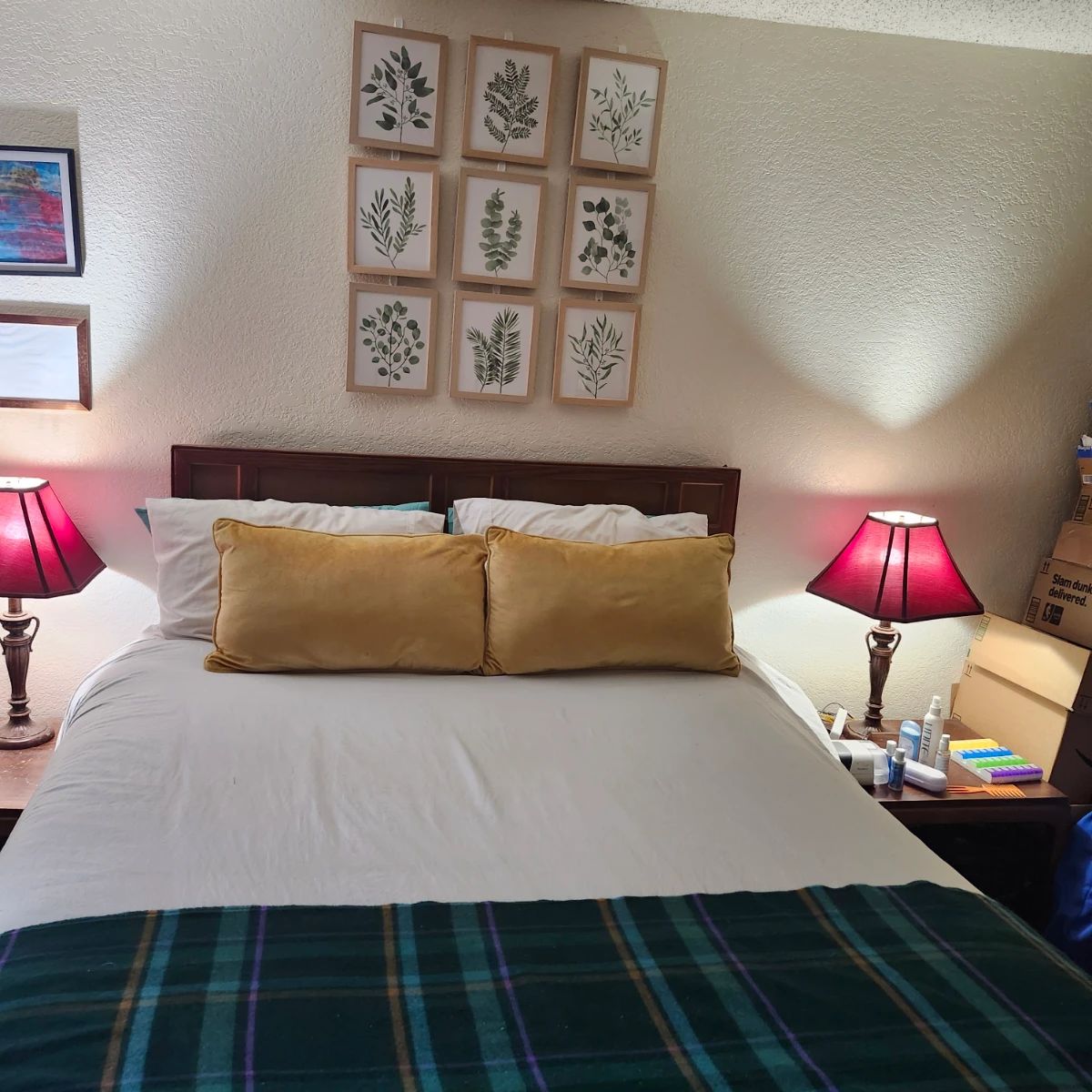 Framed Prints / Decorative Pillows
