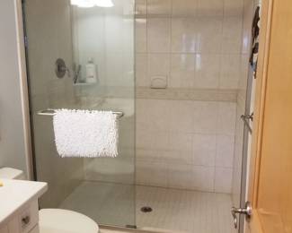 Glass shower doors