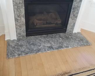 Fireplace insert
