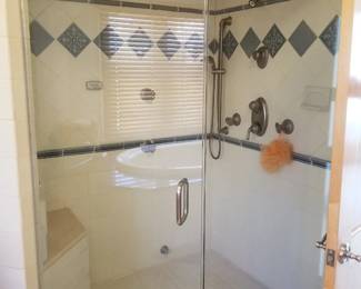 Glass shower door; shower hardware