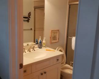 Bath vanity; mirror; vanity lights