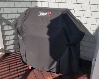 Weber natural gas grill