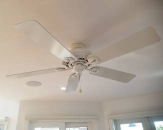 Ceiling fan