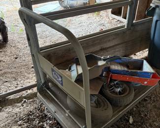Push Dolly