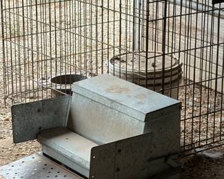 Two Grandpa Chicken Feeders