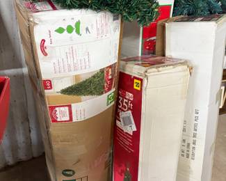 Several Christmas Trees