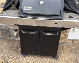 Weber Spirit Grill