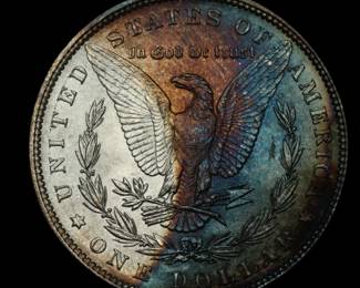Toned Morgan Dollars