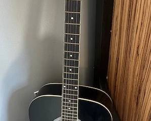 Johnson Player Series acoustic guitar.