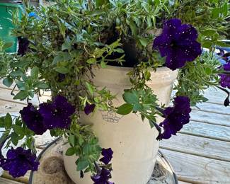 Robinson Ransbottom 5 gallon crock