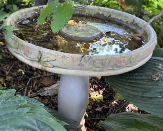 Birdbath