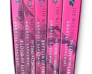 The Complete Witcher Saga Books