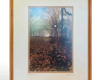 Autumn in Central Park Photo Print by Daniel Powers 17 x 21
