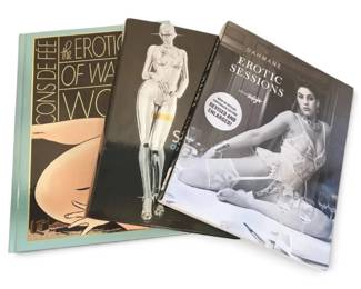 Vintage Erotic Art Books Sorayama, Wallace Wood, Erotic Sessions