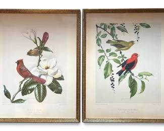 Two Framed Bird Lithographs 17 x 21 Each