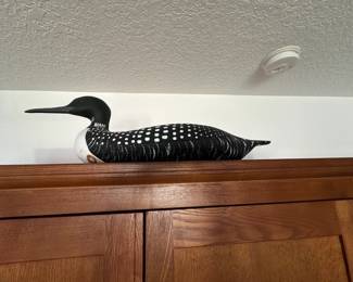 Duck 6 common loon