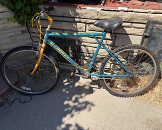 Murray Mountain Bike