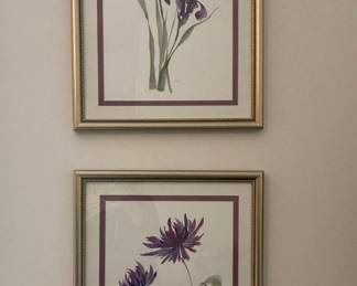 Pair of Botanical Prints