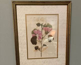 Botanical Matted & Framed Print
