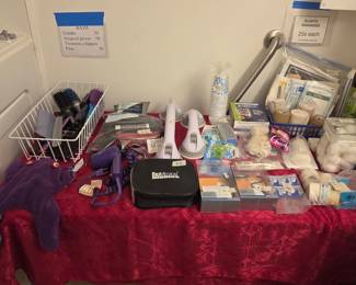 Personal Hygiene Supplies & Accessories (combs, brushes, blow dryer, medical goods, suction hand rails, etc.)
