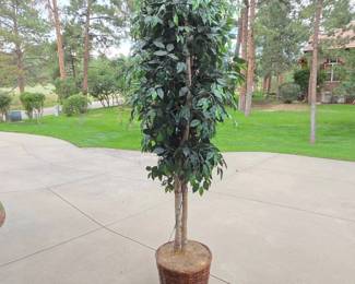 Lot #106 - Artificial Ficus Tree in Woven Basket Planter