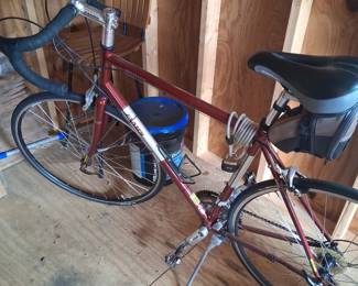 mens bike