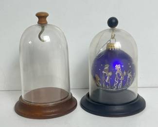 140 pairofglassdisplaydomeswithwoodba