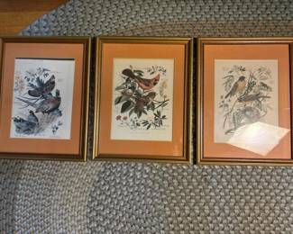 022 17x13framedbirdprintsinthemannero