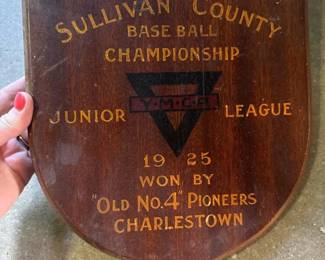 005 1925sullivancountybaseballchampionsh