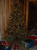 One of the MANY pre-lit Christmas trees