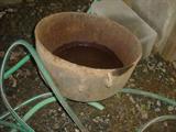 Antique cast iron pot.