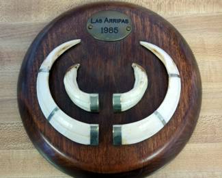 Las Arripas 1985 Wild Boar Tusk Wood Wall Mount