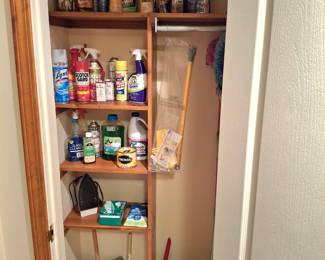 Variety of Cleaning Supplies!