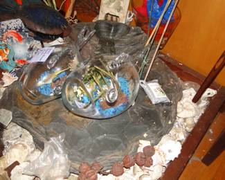 Glass Fish