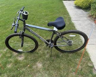 ROADMASTER mountain bike