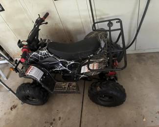 kids 4 wheeler
