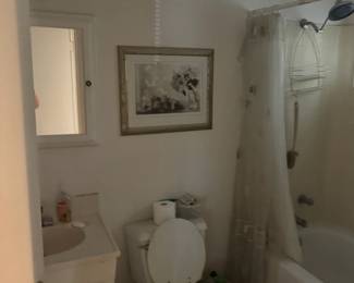Framed Floral Artwork, Bathroom Décor & Household Accessories
