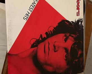 The Doors Greatest Hits Vinyl LP (1980) - Specialty Records Pressing