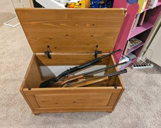 BB Guns