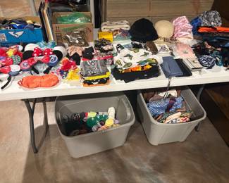 Women’s Accessories ( bags, Disney ears, jewelry)