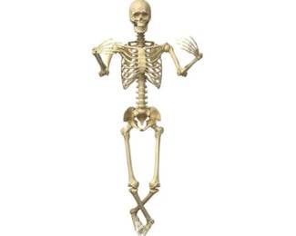 Halloween Life Size Posable Plastic Skeleton
