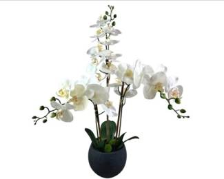 Artificial White Orchid Arrangement In Black Pot