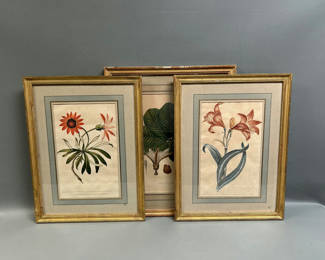 Lot 5: A Group of Three Floral Botanicals 
