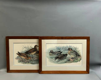 Lot 31: Bird Lithographs 