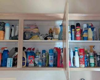 BO252Cleaning Supplies Lot With Shark Floor Cleaner